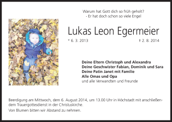 Anzeige von Lukas Leon Egermeier von MGO