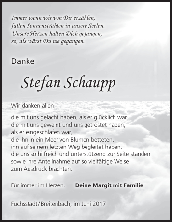 Anzeige von Stefan Schaupp von MGO