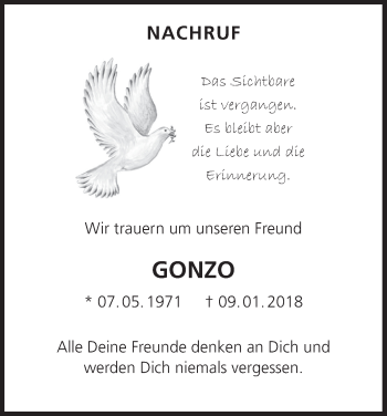 Anzeige von Gonzo  von MGO