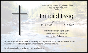 Anzeige von Fritigild Essig von MGO
