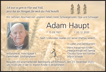 Anzeige von Adam Haupt von MGO