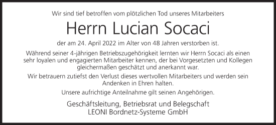 Anzeige von Lucian Socaci von MGO