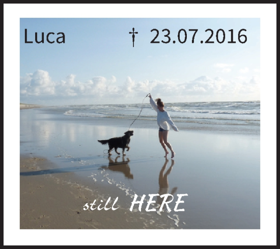 Anzeige von Luca  von MGO