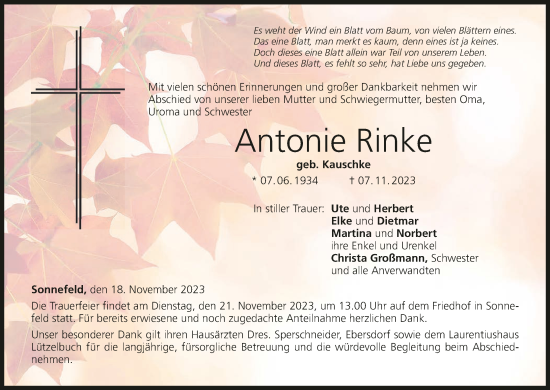 Anzeige von Antonie Rinke von MGO