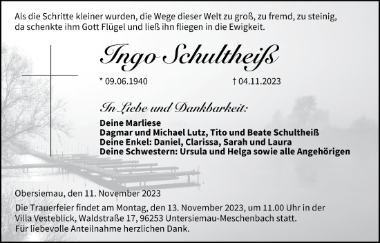 Anzeige von Ingo Schultheiß von MGO