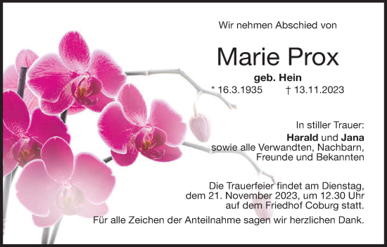 Anzeige von Marie Prox von MGO