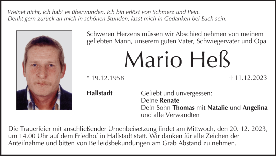 Anzeige von Mario Heß von MGO