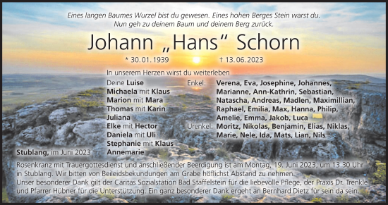 Anzeige von Johann Schorn von MGO