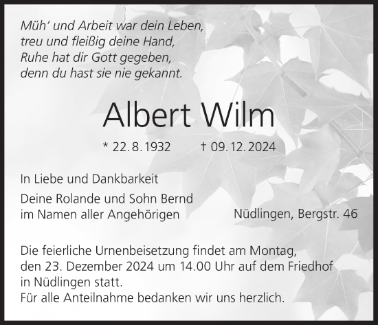 Anzeige von Albert Wilm von MGO
