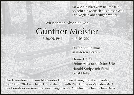 Anzeige von Günther Meister von MGO
