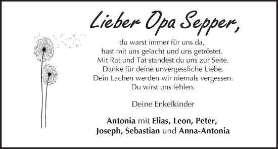 Anzeige von Joseph Göller von MGO