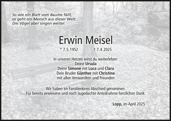 Anzeige von Erwin Meisel von MGO