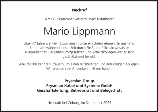 Anzeige von Mario Lippmann von MGO