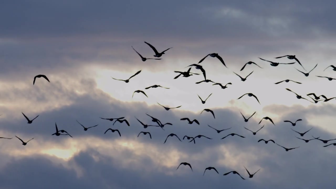 Video zum Jahresgedenken 1